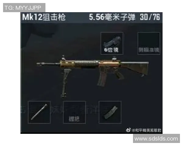 电竞实时数据与和平精英战术BLG防反体系的深度解析与应用探讨 电竞实时数据与和平精英战术BLG防反体系的深度解析与应用探讨